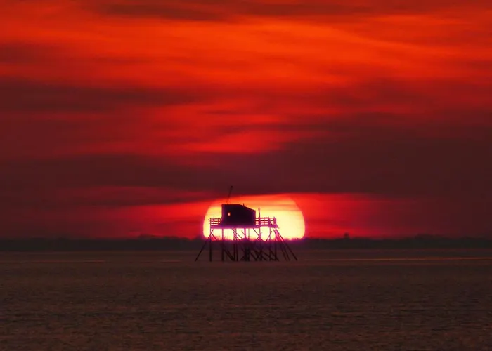 - Restaurant La Chaloupe