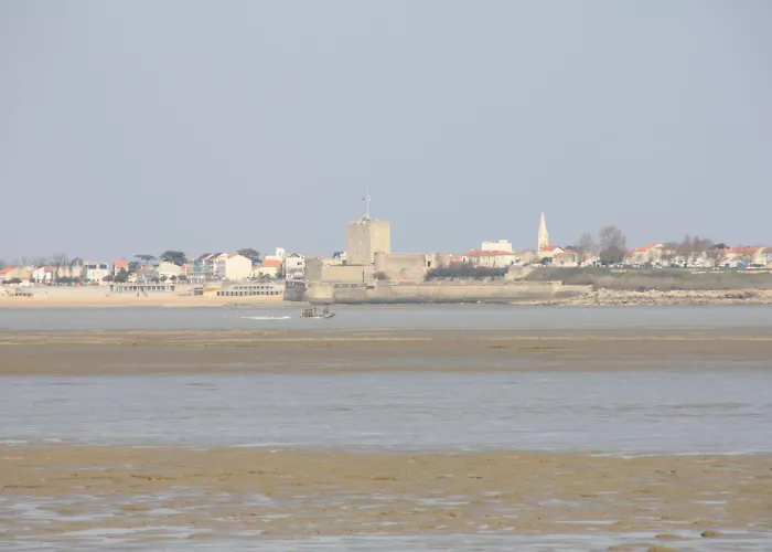 - Restaurant La Chaloupe Hotel Le Port-des-Barques